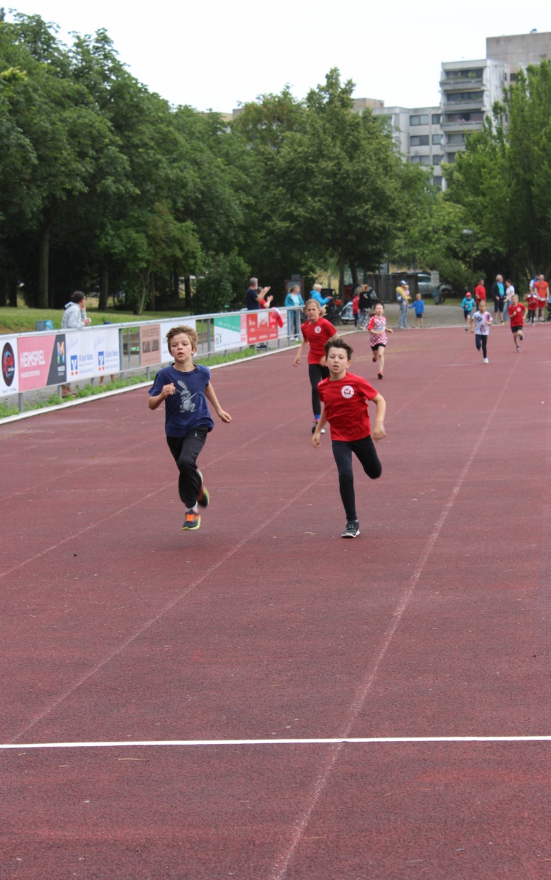 /img/gallery/2024/sportfest/Groß (IMG_3539).jpeg